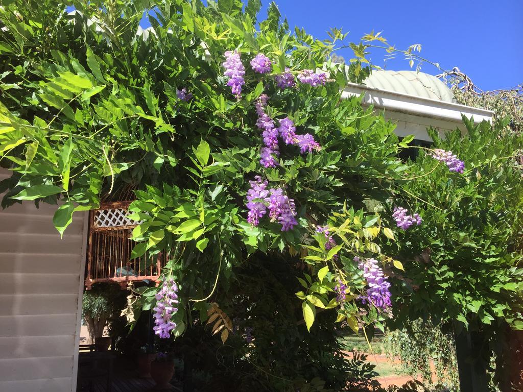 Birchwood Cottage Yarck Ngoại thất bức ảnh